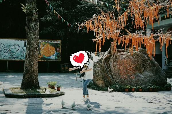 小宝贝打网球